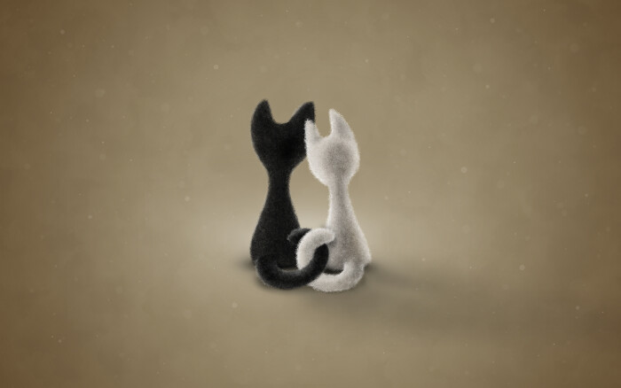 vladstudio壁纸【1920x1200】黑猫 白猫 颜色3 black cat white cat