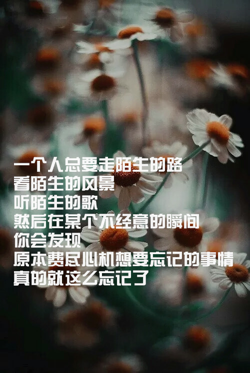 我终究讨好不了所有人.【文字壁纸】