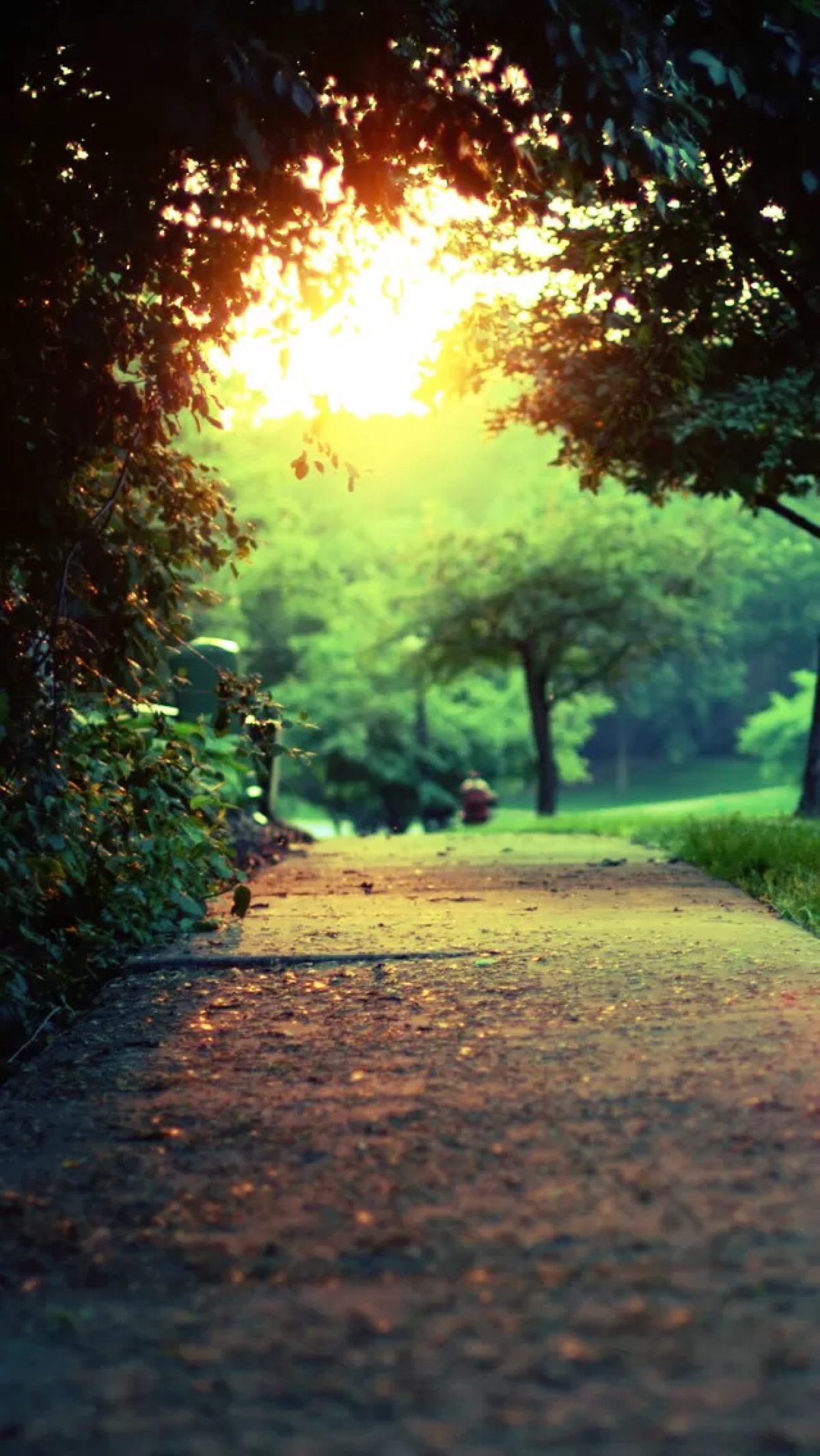 碧水青山终行遍.不及一缕青丝相思缠.