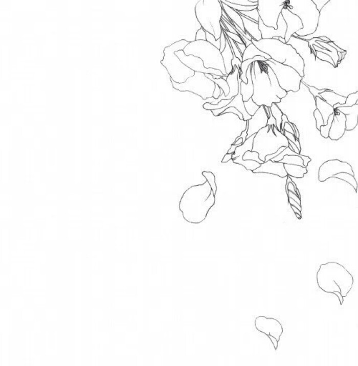 一些花枝的黑白线稿图,来源多是漫画/素材集,具体来源未知,仅供参考