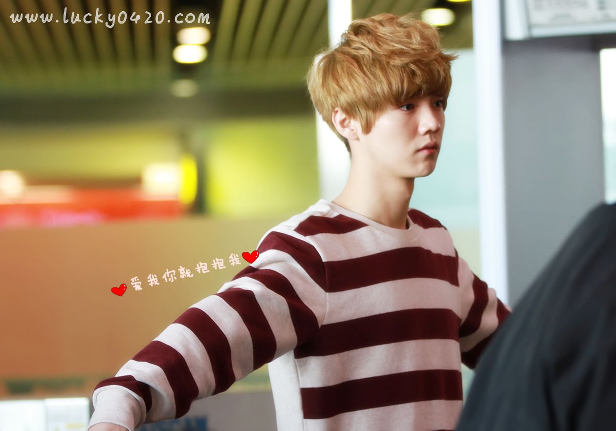 鹿晗exo