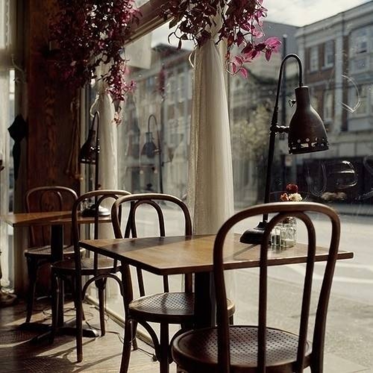 咖啡店 渲染一种幽静的情味