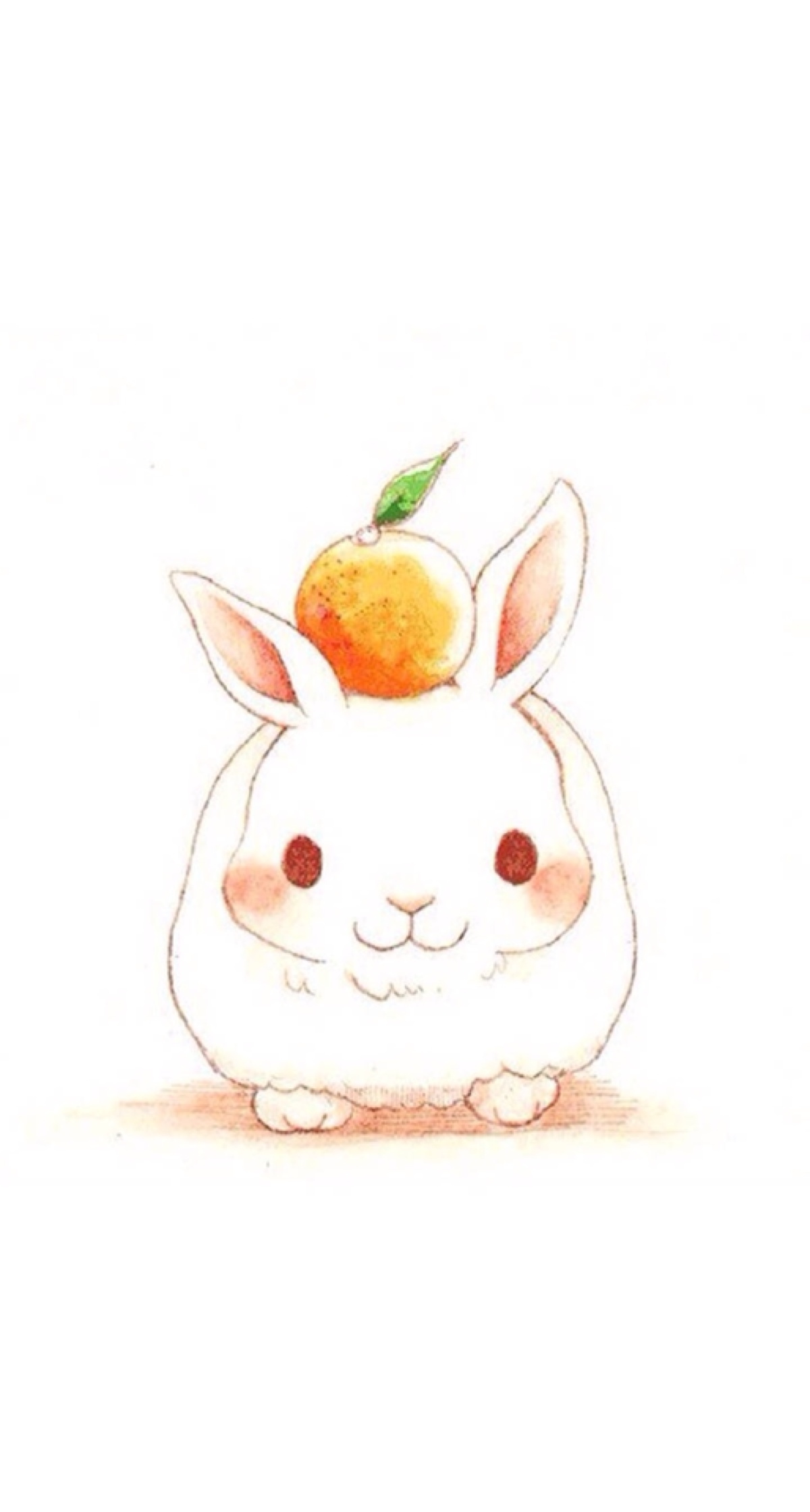 萌萌哒的兔子