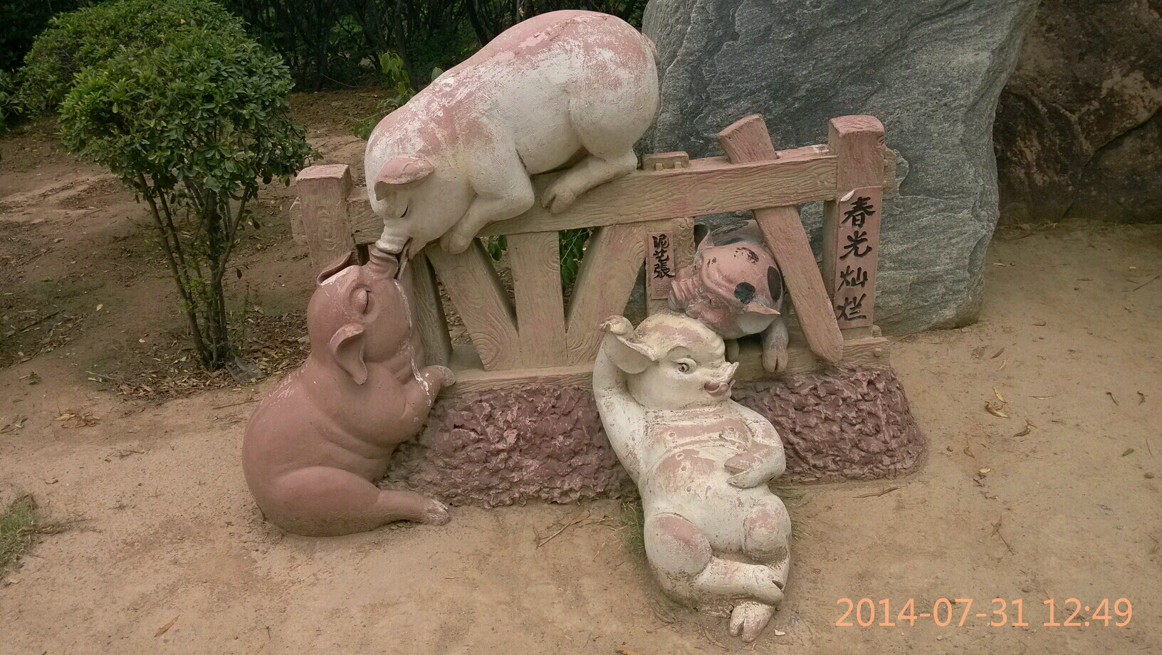 春光灿烂猪八戒
