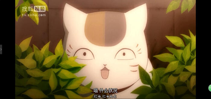 猫咪老师 表情