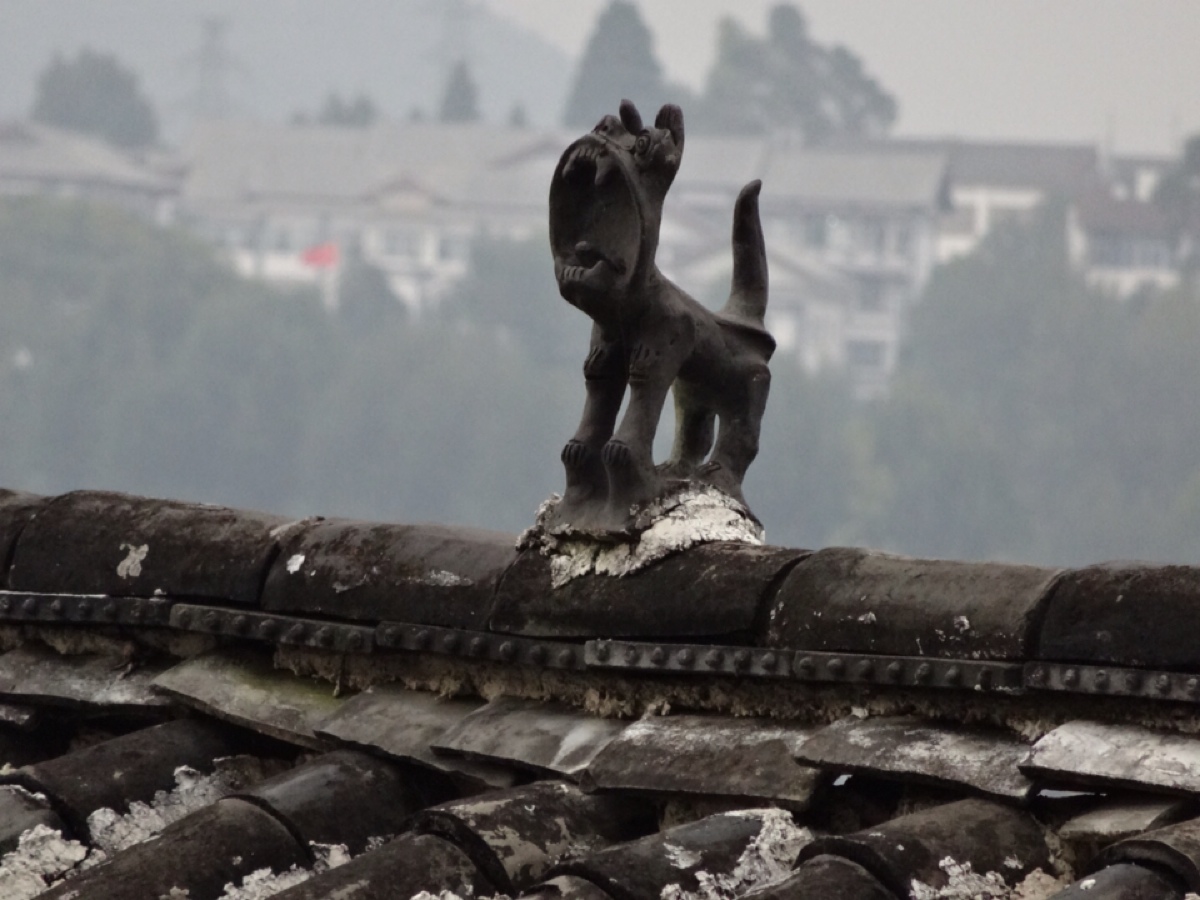 丽江古城的瓦猫,虽为保护神,却觉得它是在卖萌.