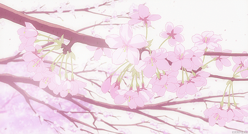 [秒速五厘米] [樱花飘落]
