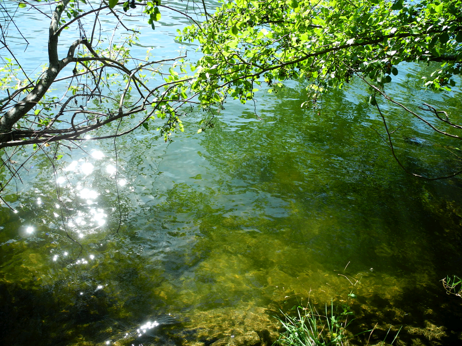 海德堡的青绿色湖水,穿过历史的冰冷,奔向迷雾的未来