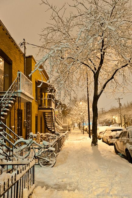 蒙特利尔雪景图片