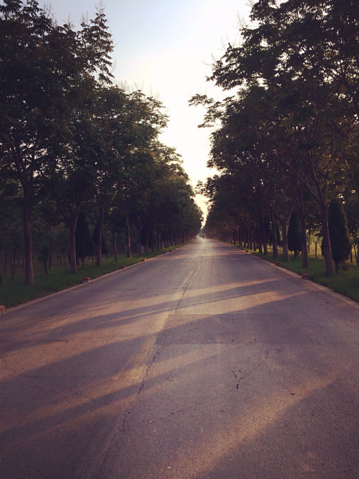 长长的路