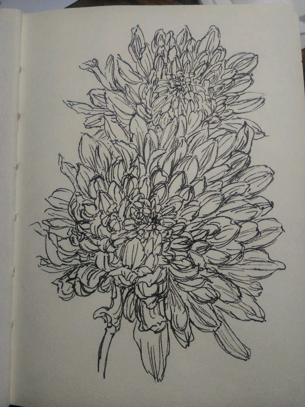 手绘小画
