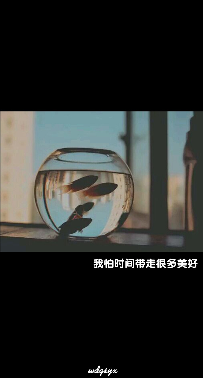 风景,欧美,插画,萌物,平铺,植物,清新)//我的盖世英雄