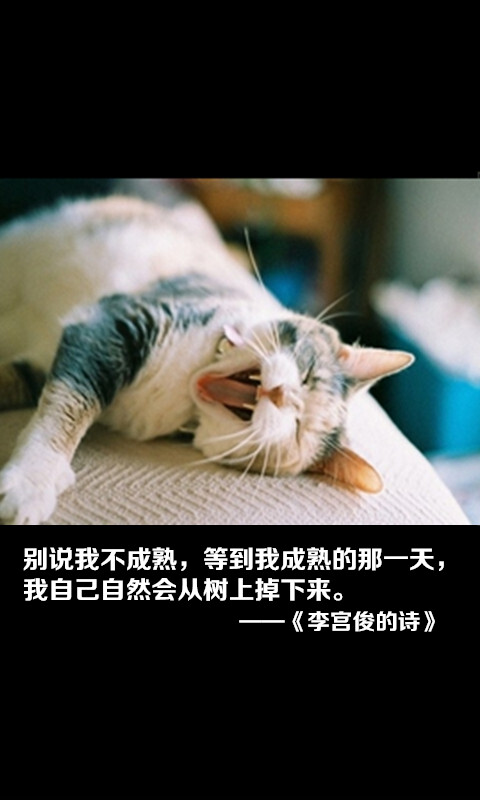 李宫俊的诗图片,李宫俊文字图片,文字图片,文字美图