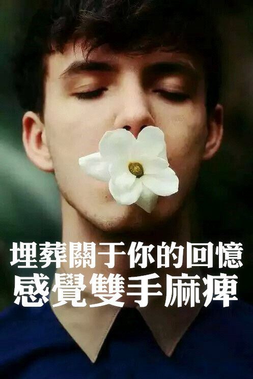 阿画自制壁纸玫瑰花的葬礼 埋葬关于你的回忆感觉双手麻痹 不能自己