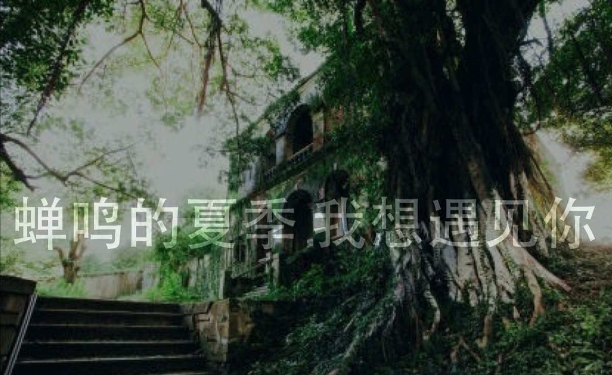 蝉鸣的夏季,我想遇见你.