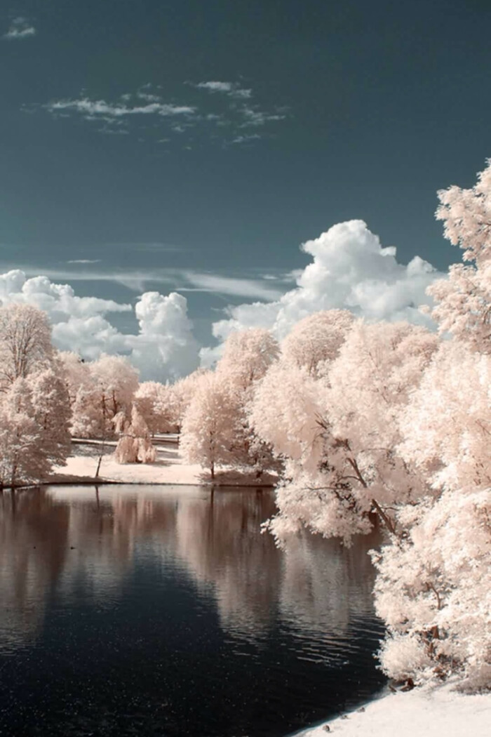 冷色调背景壁纸 风景 雪景 冬天