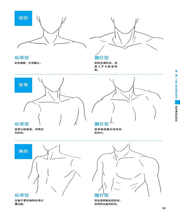 漫画技巧,脖子,锁骨