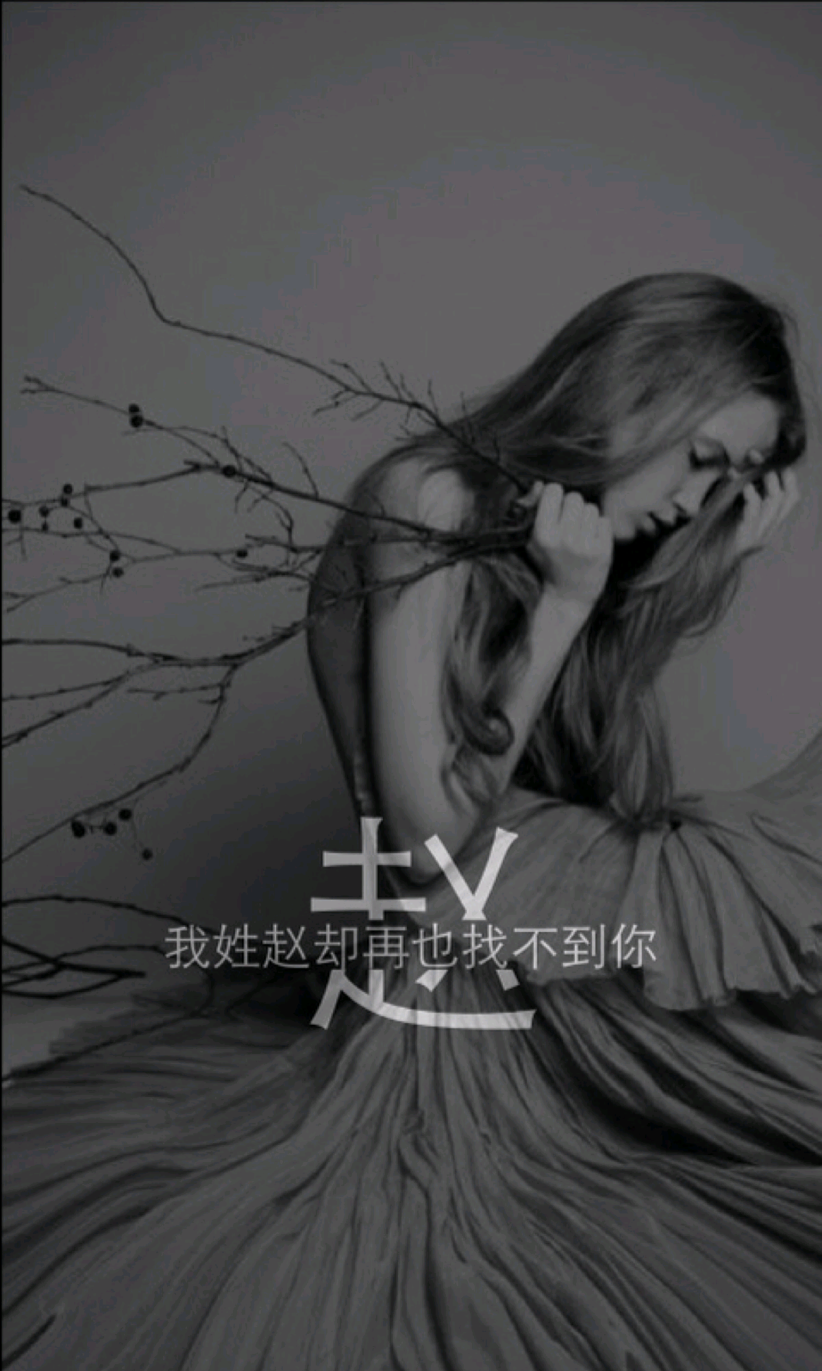 我姓赵 
