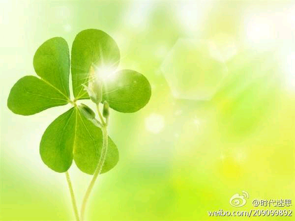 爱生活爱绿色