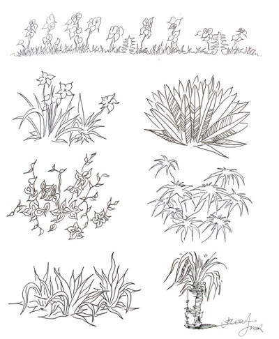 环设景观植物手绘技法