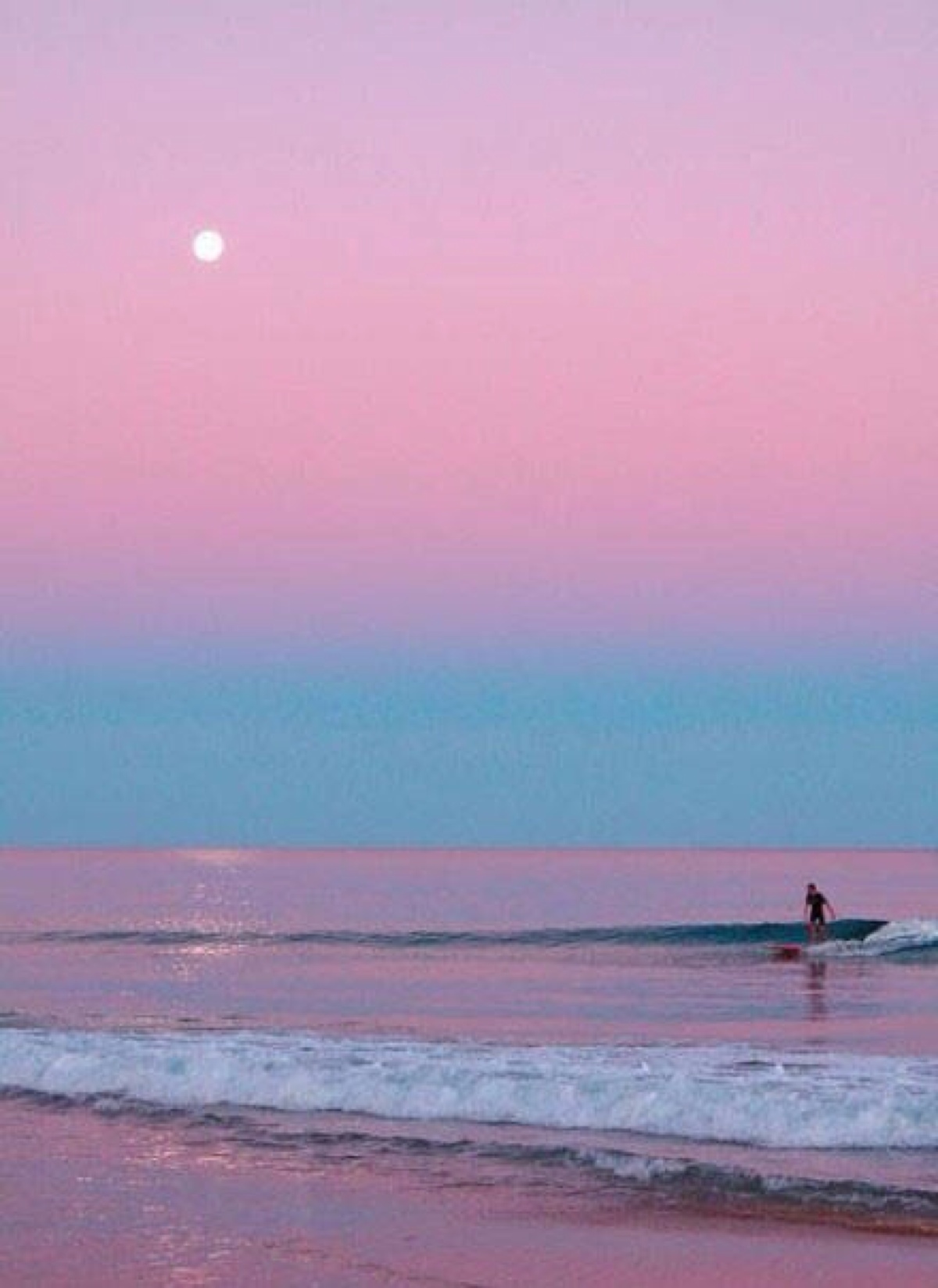 世上独一无二的粉色沙滩 巴哈马哈勃岛东侧的pink sands beach