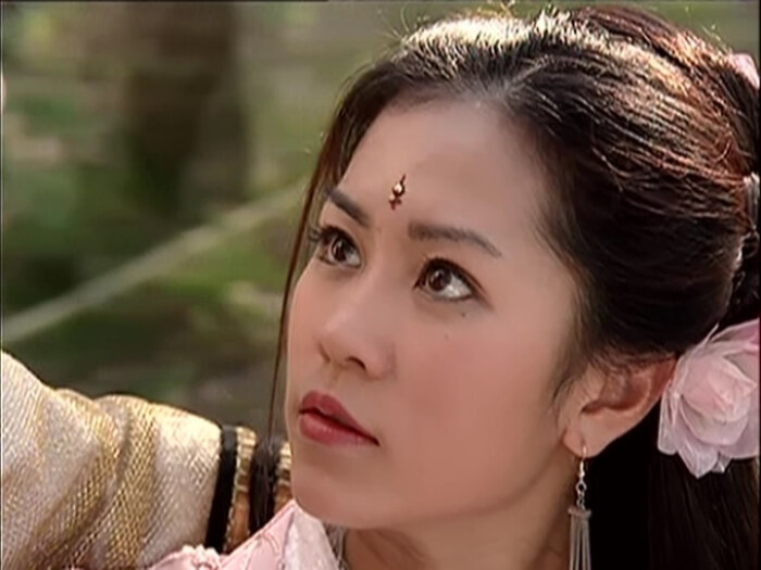 金陵公主# #杨门女将