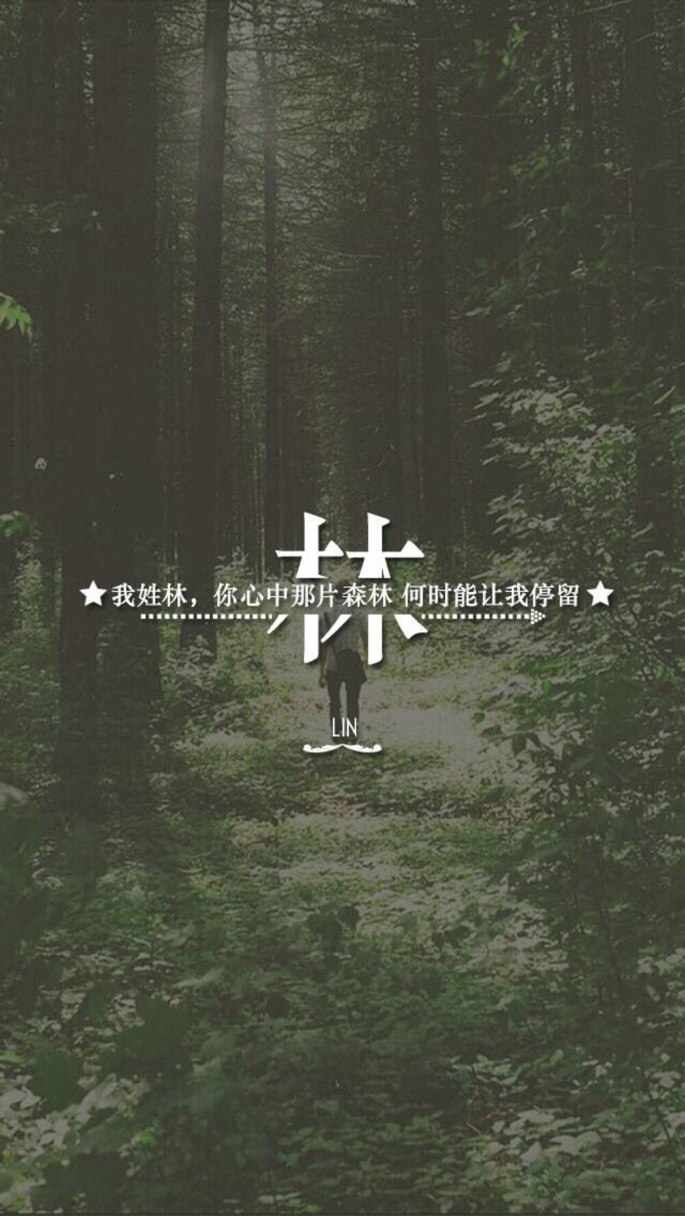 372 ★ 230 ★ 197 ★ 638 ★ 115 苏 群323453925 帮做姓氏壁纸