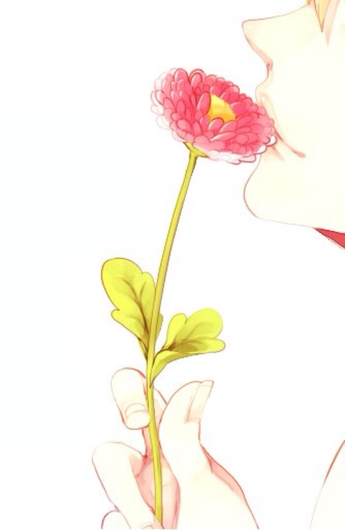 唯美动漫