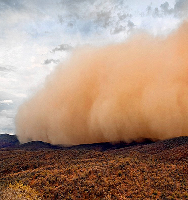 捕捉到大自然的疯狂:沙尘肆虐的保护区