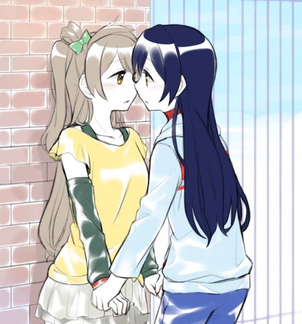 [cp]#海鸟##ことうみ# 近日推特的海鸟合集.总之我被治愈了.
