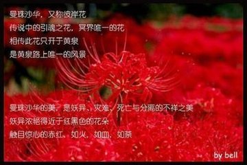 地狱之花