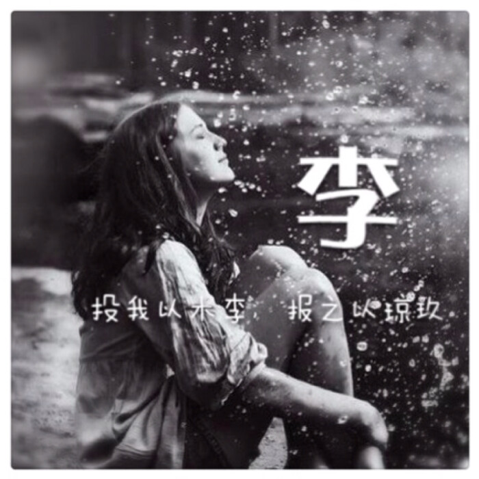 我姓李 