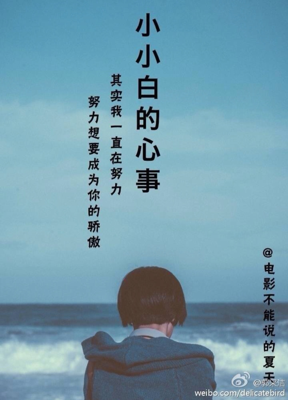 小小白 小白白!