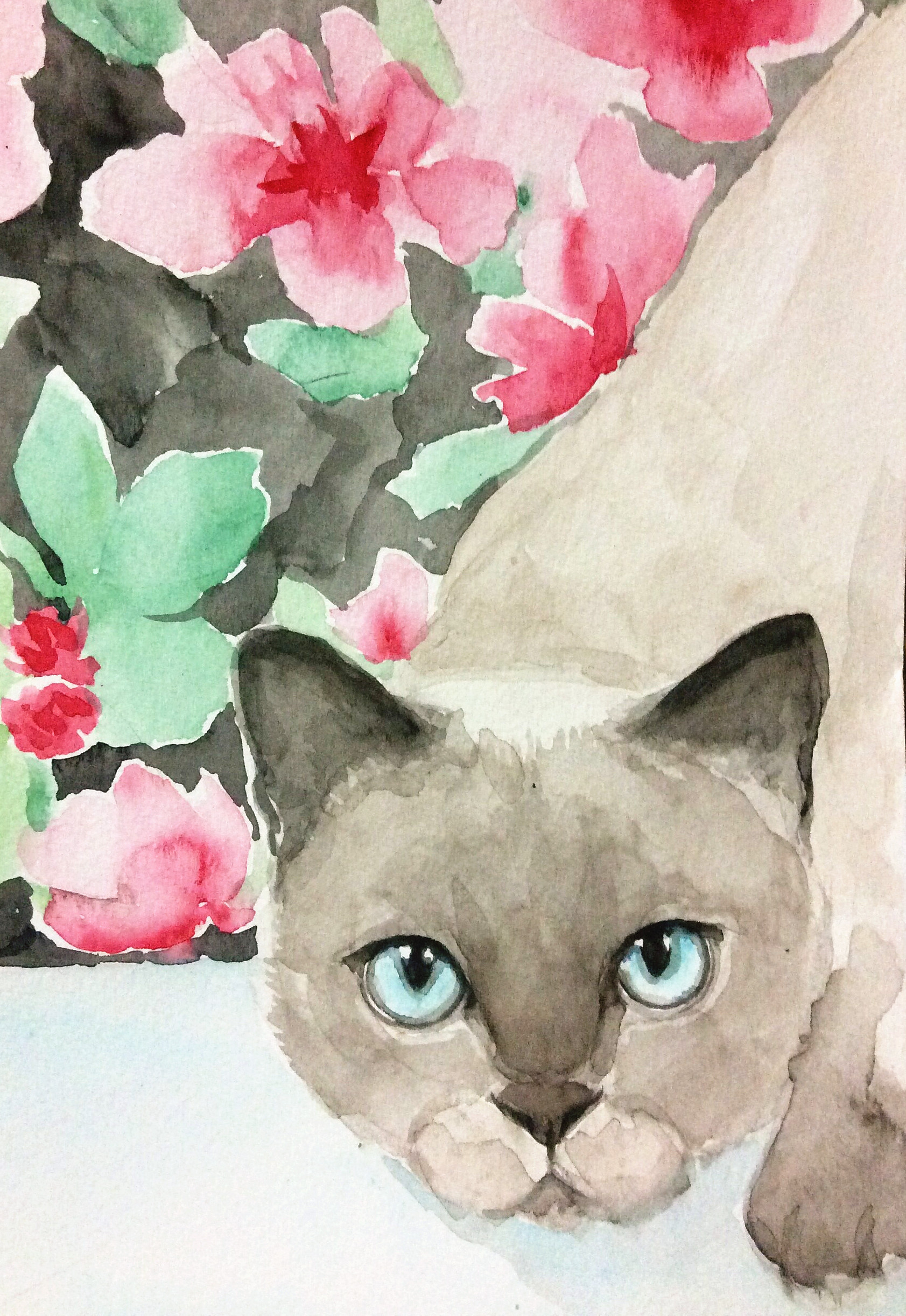花与猫② 水彩画 by ruinry图片