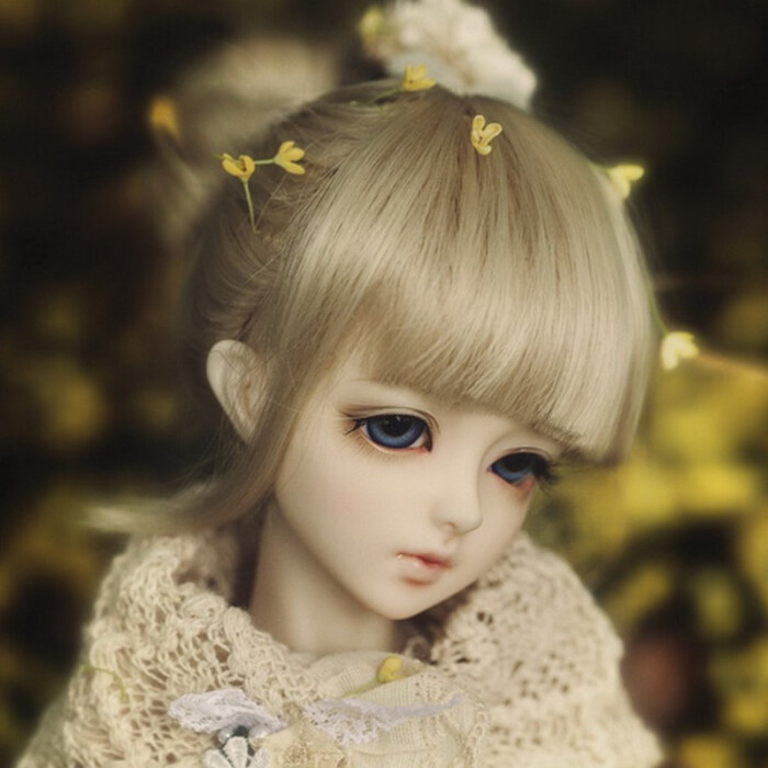 日本 动漫 sd娃娃 bjd 玩具 人偶 美人 美女 壁纸 萌物 头像
