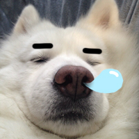 呼出的鼻涕泡,是我的灵魂