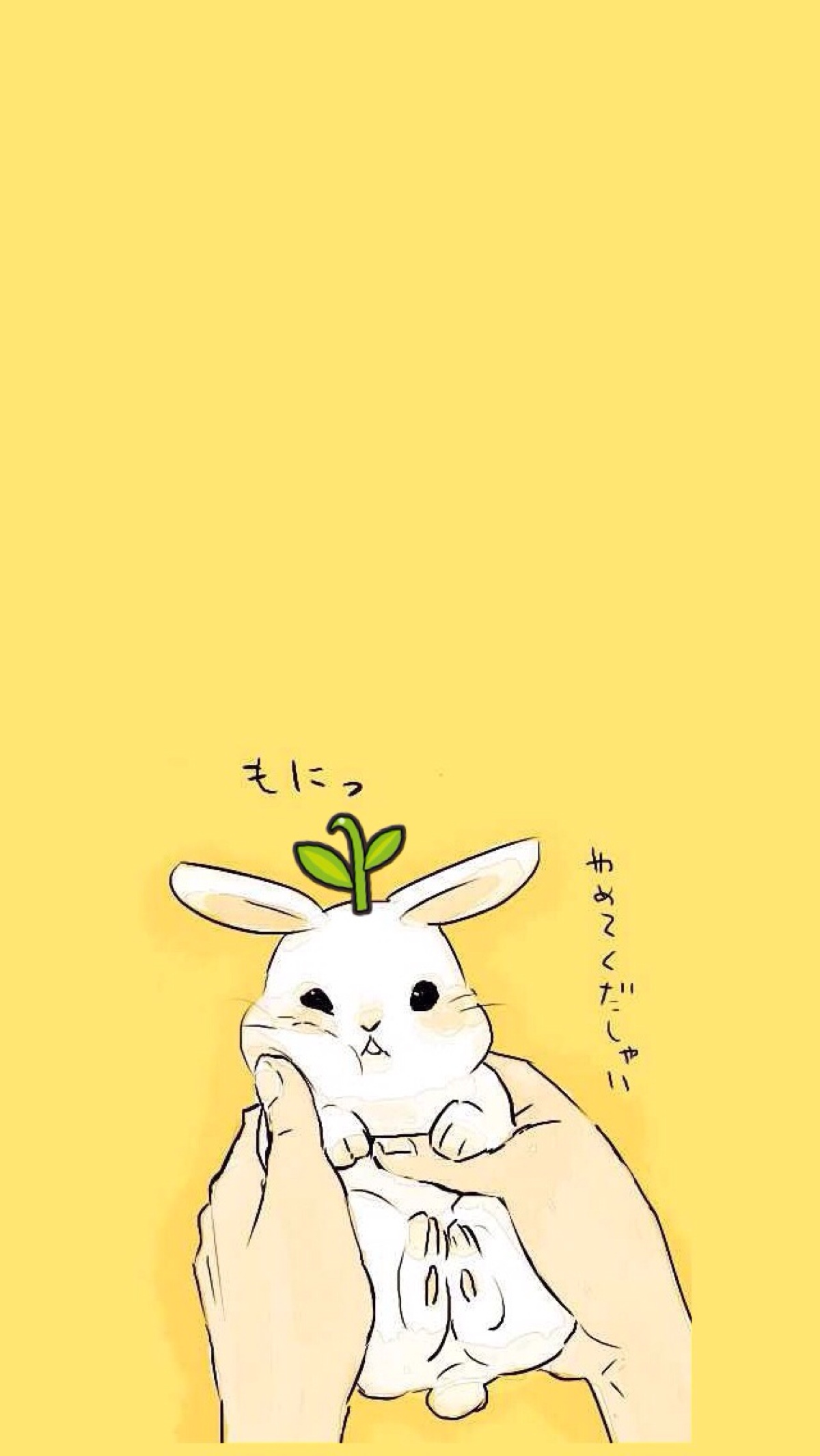 萌萌哒 