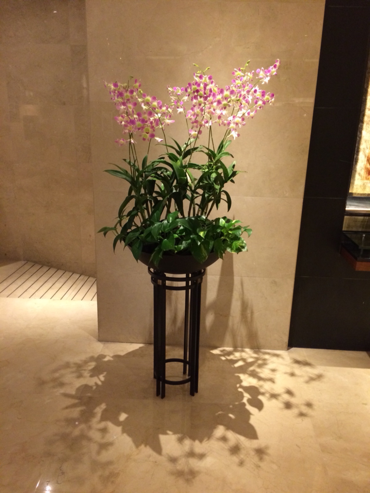 新加坡/胡姬花/酒店一角