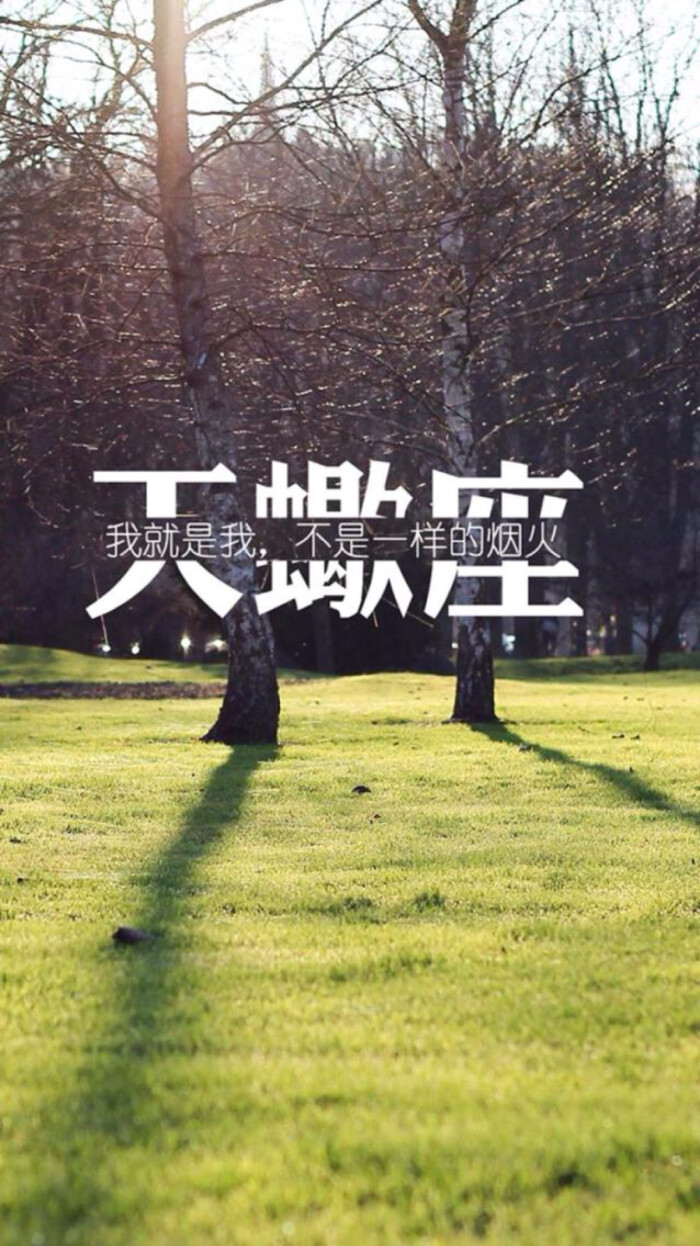 苹果6壁纸文字星座天蝎