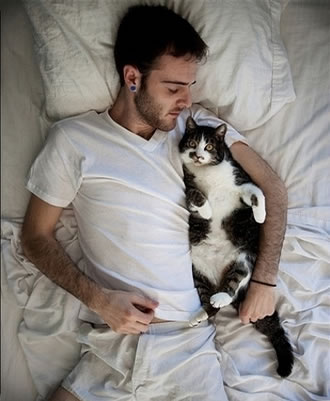 布偶猫 男人 猫咪 萌宠 可爱 宠物 猫 唯美