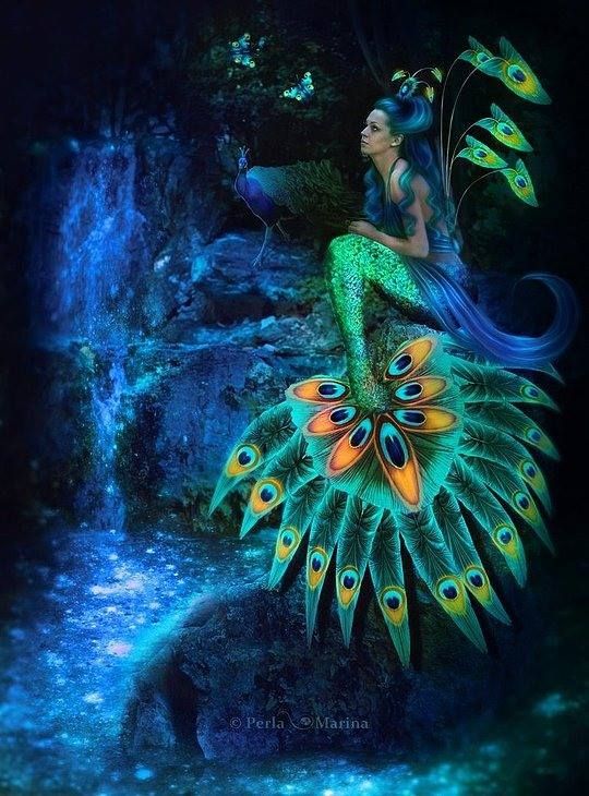 美人鱼 动漫 唯美 另类