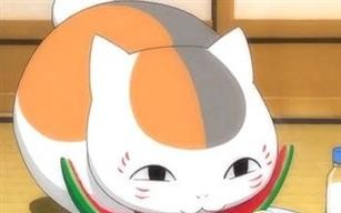 猫咪老师.