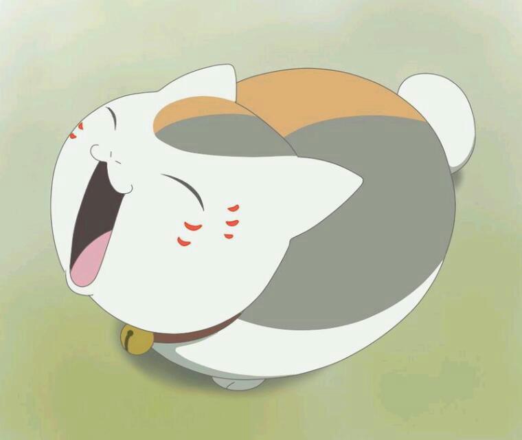 猫咪老师.
