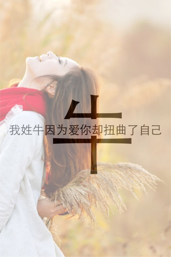 我姓牛.