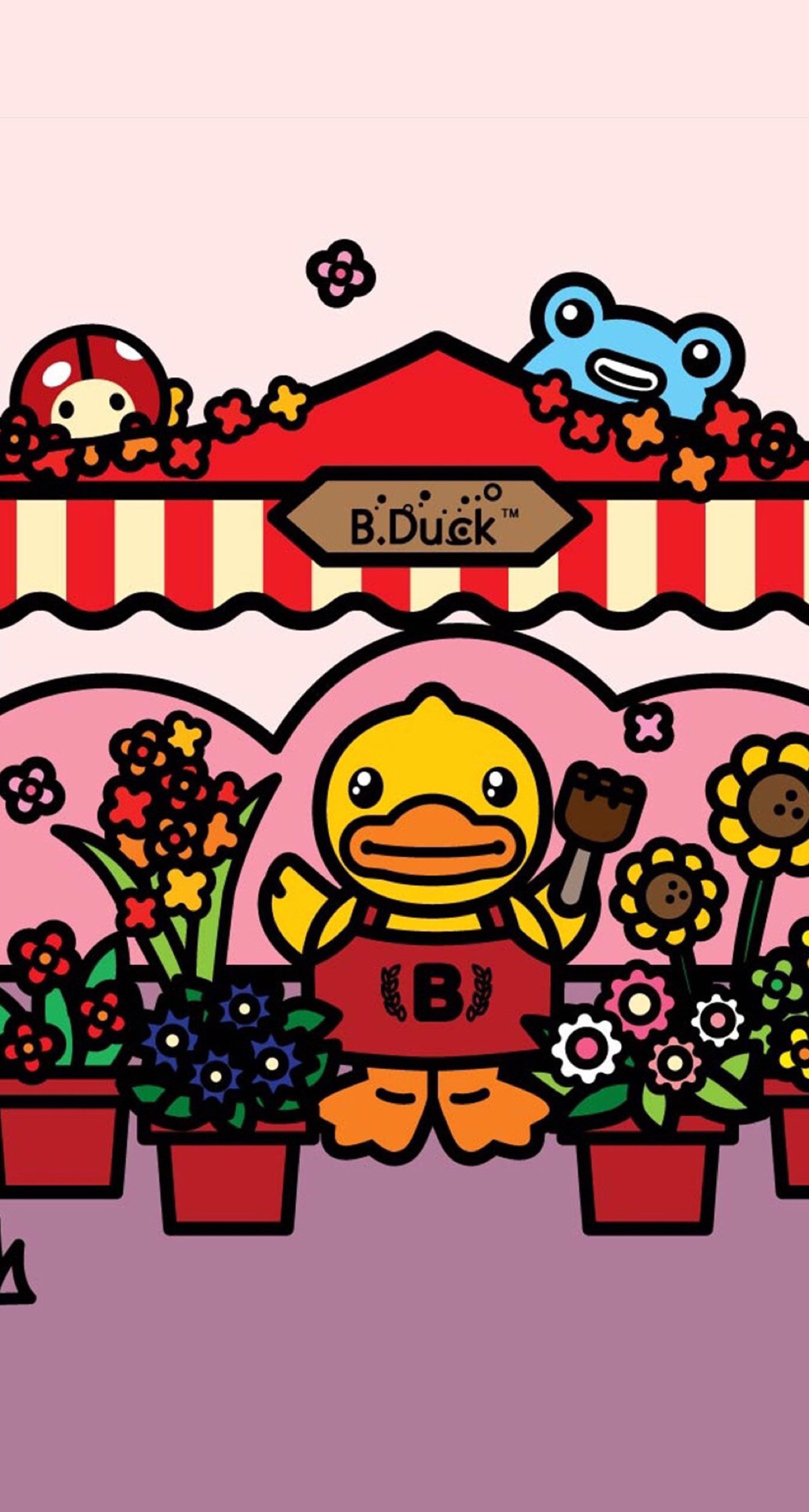 duck