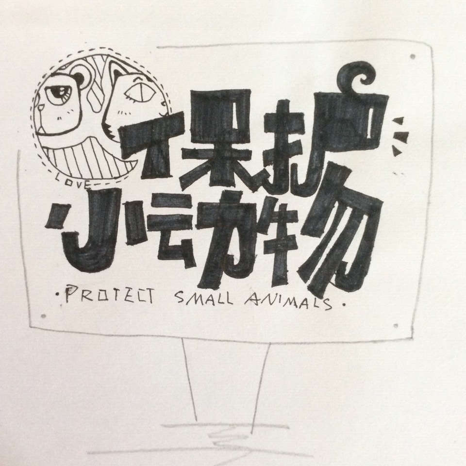 保护小动物