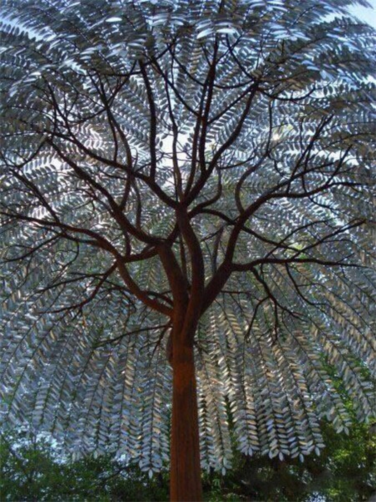 生命之树超清晰图片