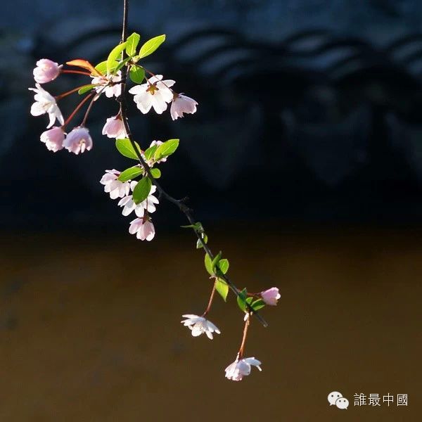 禅境之美