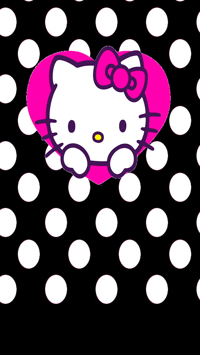 kitty.凯蒂猫