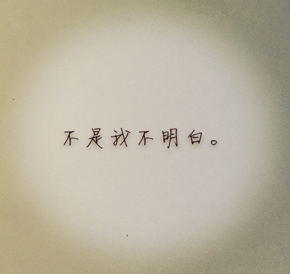 不是我不明白.